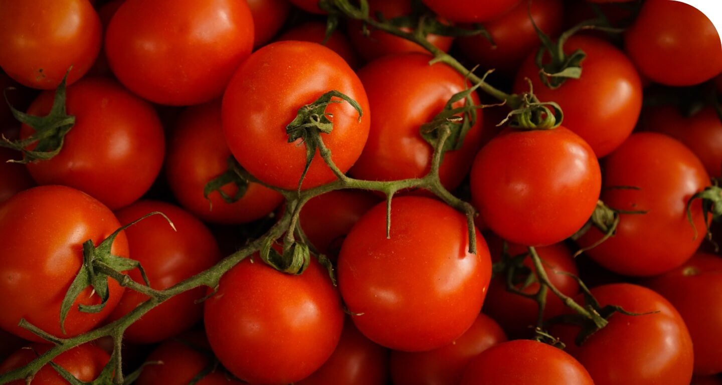 pulpe de tomates fraîches 100% italiennes decorazione di sfondo